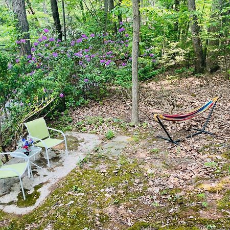 Modern Cabin With Hot Tub Grill Lake Beach Wineries Hiking Fishing And Hershey Park Family And Pet Friendly Superhosts On Ab&B Mount Gretna Exteriér fotografie